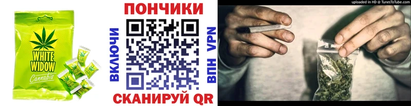 shop как зайти  Подпорожье  Еда ТГК конопля 
