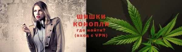 сатива Абдулино