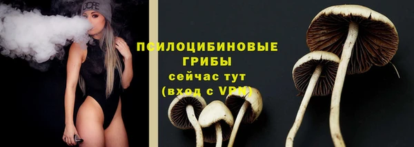 сатива Абдулино