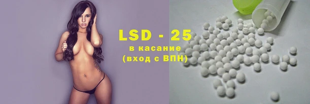 прущие грибы Абинск