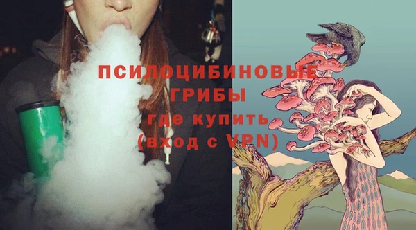 прущие грибы Абинск