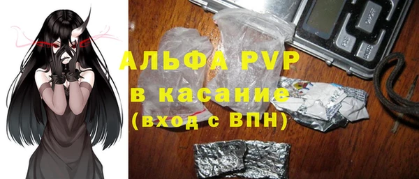 прущие грибы Абинск