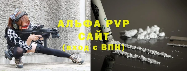 прущие грибы Абинск